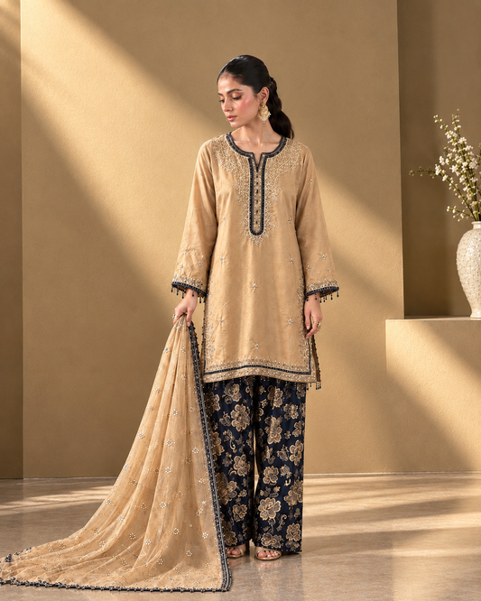 Linen Embroidered Stitched 2pc Suit