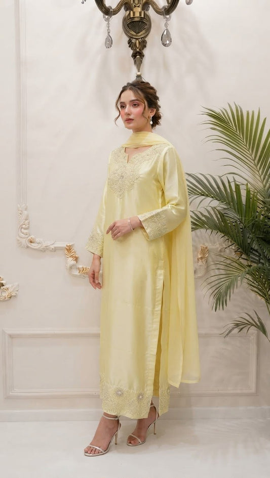 Silk kaftan style 3pc Appliqué Work
